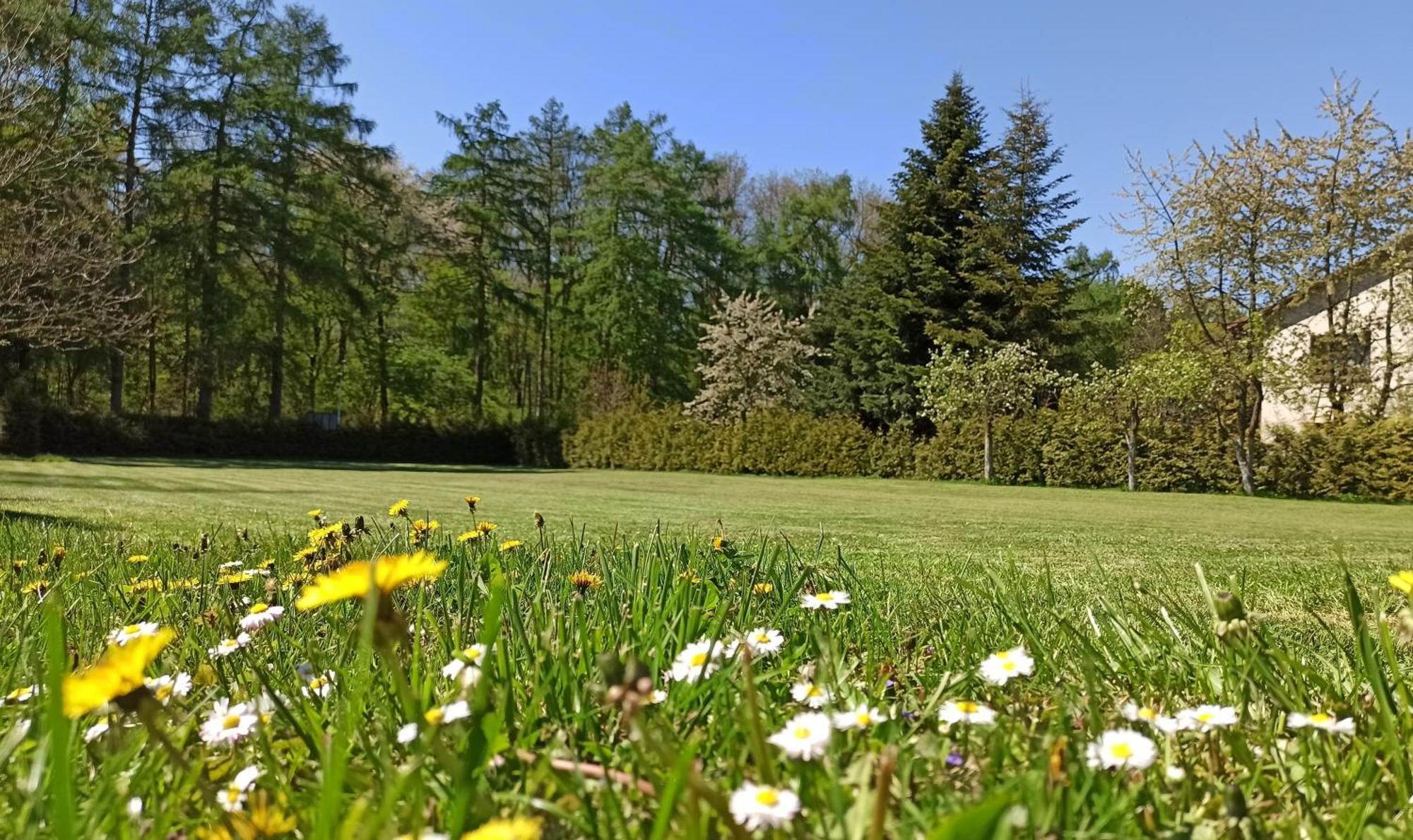 Pokoje Goscinne Stokrotka Nałęczów Exteriör bild