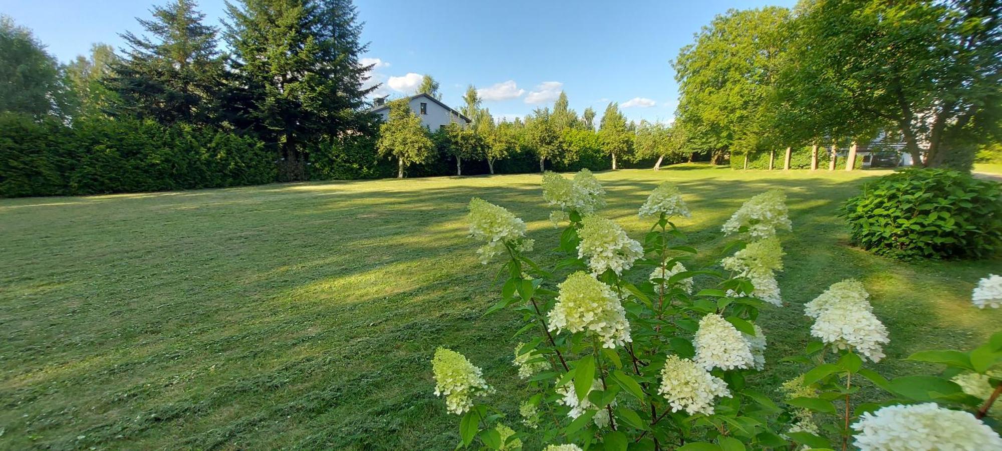 Pokoje Goscinne Stokrotka Nałęczów Exteriör bild